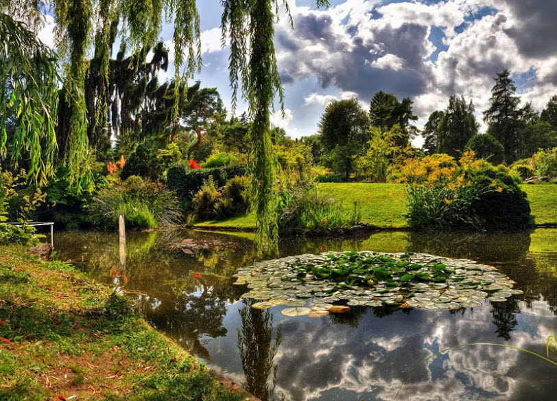 Jardin Botanique de Genève, Geneva, Switzerland, Switzerland
